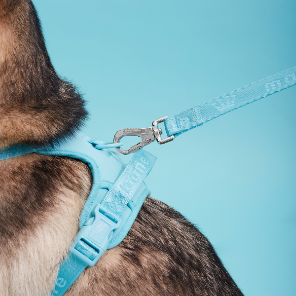 Easy Fit Harness Rosa Maxbone x Aristopet