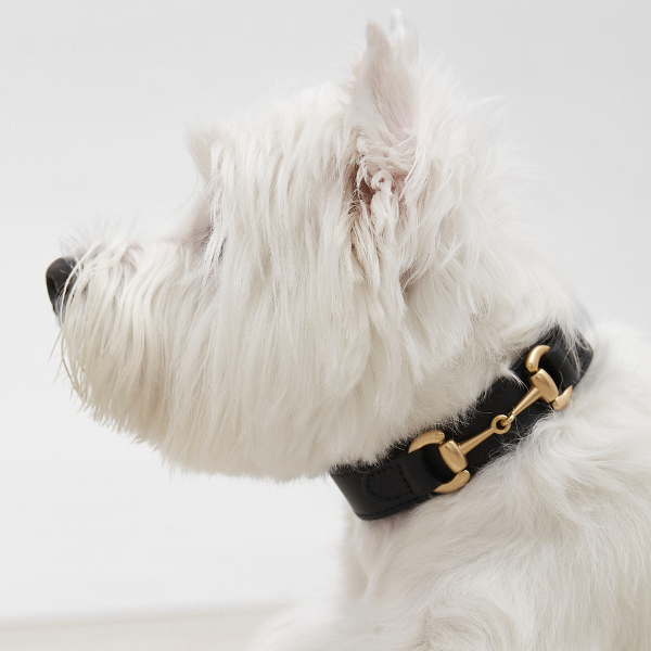 Collar Equestrian Corocota negro