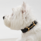 Collar Equestrian Corocota negro