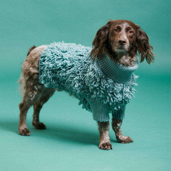 Curly Jumper Rosa Maxbone x Aristopet