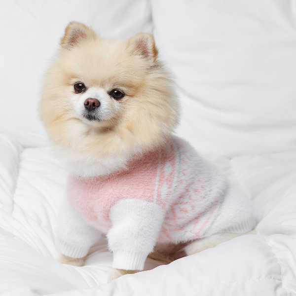 Aristopet pink puppy sweater