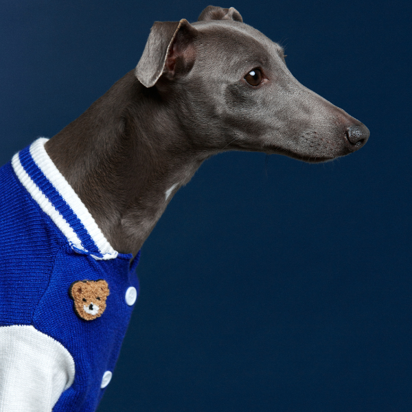 Mookie jacket azul Aristopet