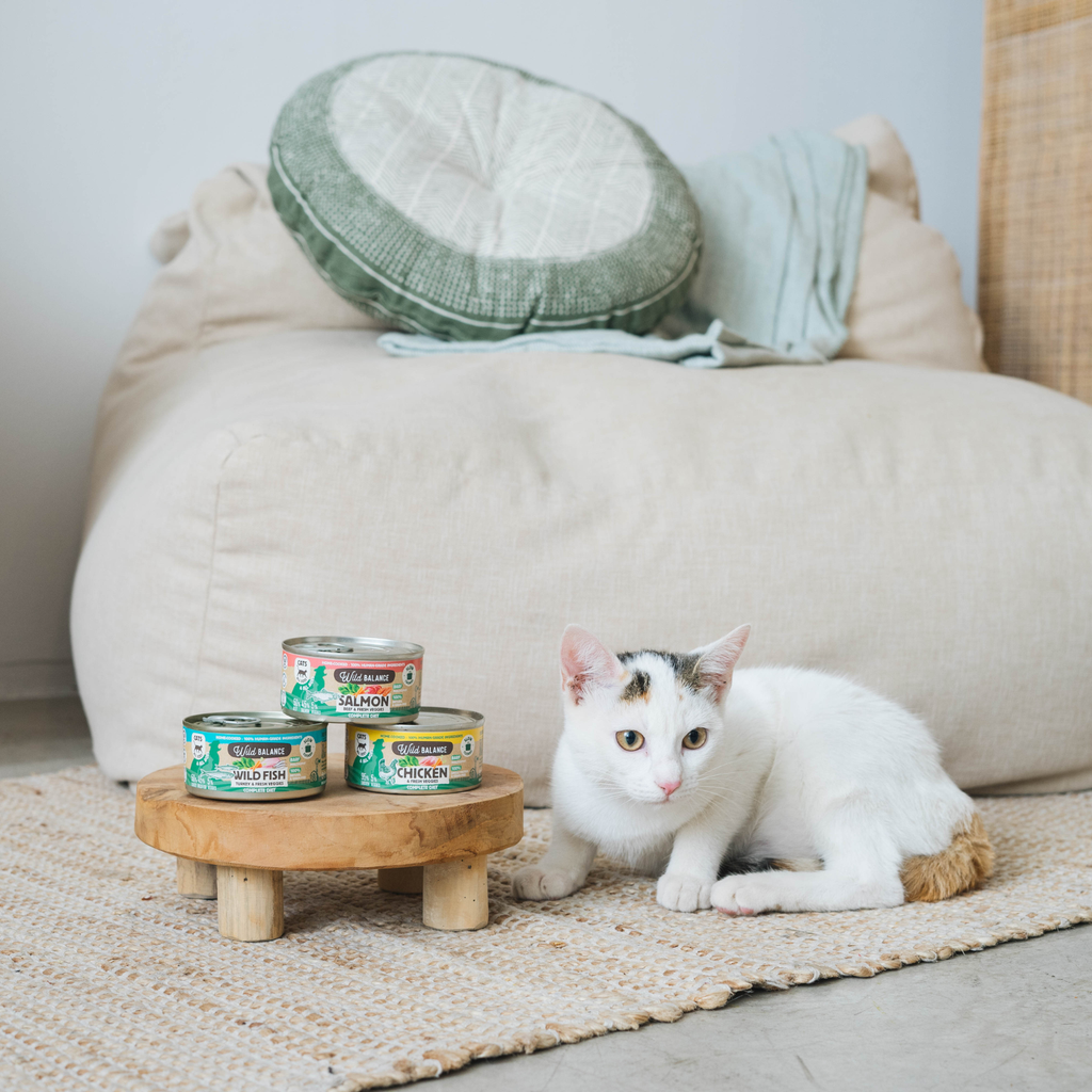 Salmon can for cats 120g - BARF Philosophy