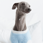 Aristopet light blue puppy sweater