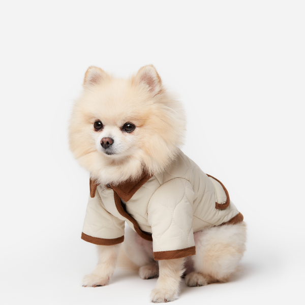 Spencer jacket beige Aristopet