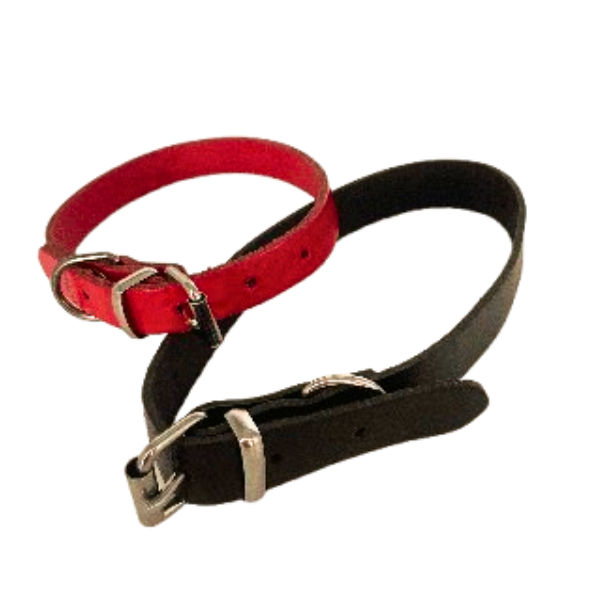 Collar Nu Nickele Bobby