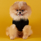 Jersey Aspen Negro