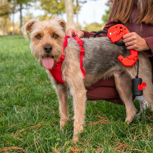 Correa para perro Rojo-FIXY