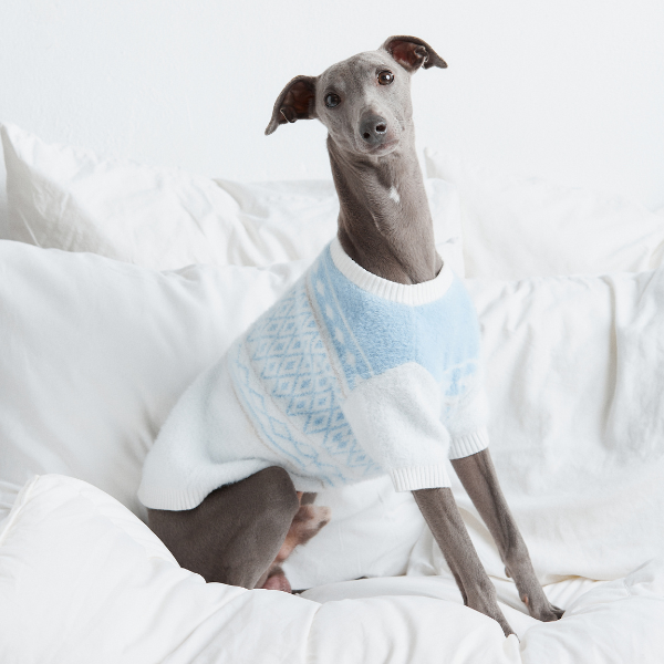 Aristopet light blue puppy sweater