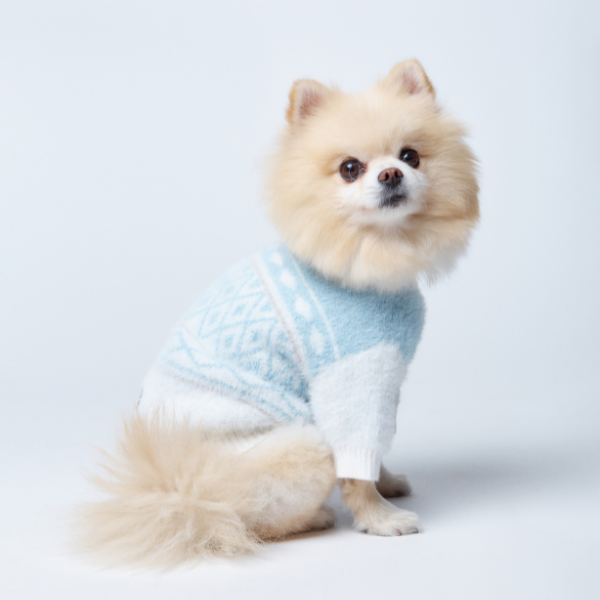 Aristopet light blue puppy sweater