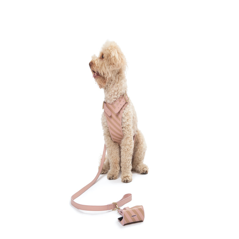Striped harness Poldo rosa