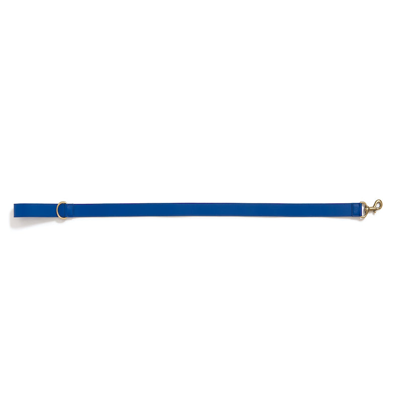 Leather leash Poldo azul