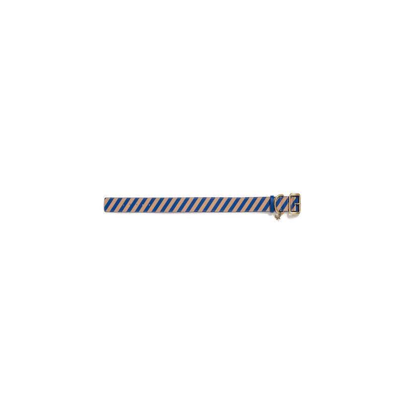 Striped collar Poldo azul