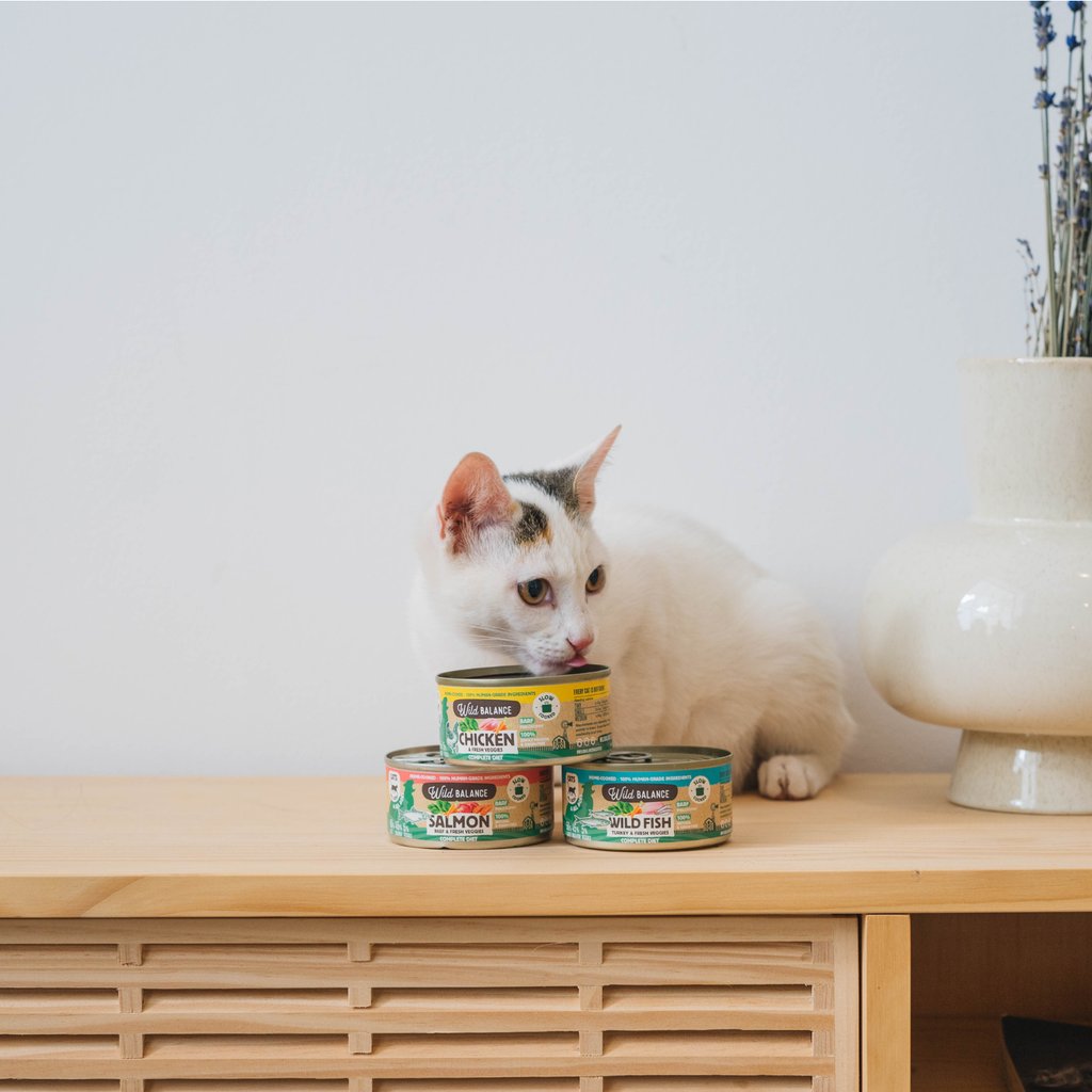 Canned Chicken for Cats 120g - BARF Philosophy