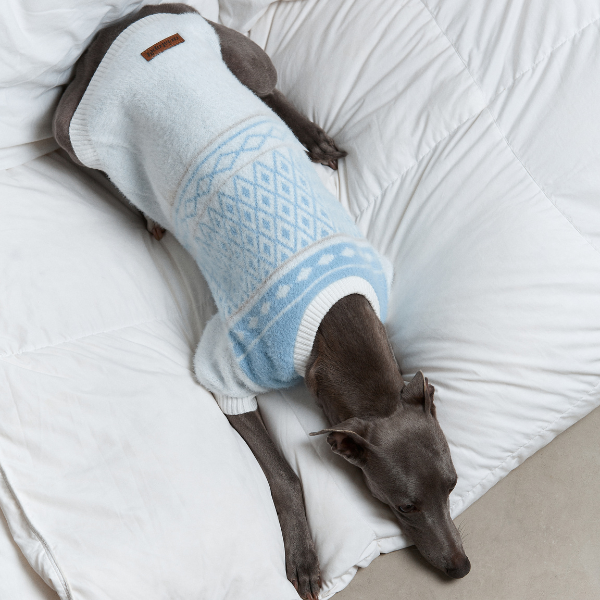 Aristopet light blue puppy sweater