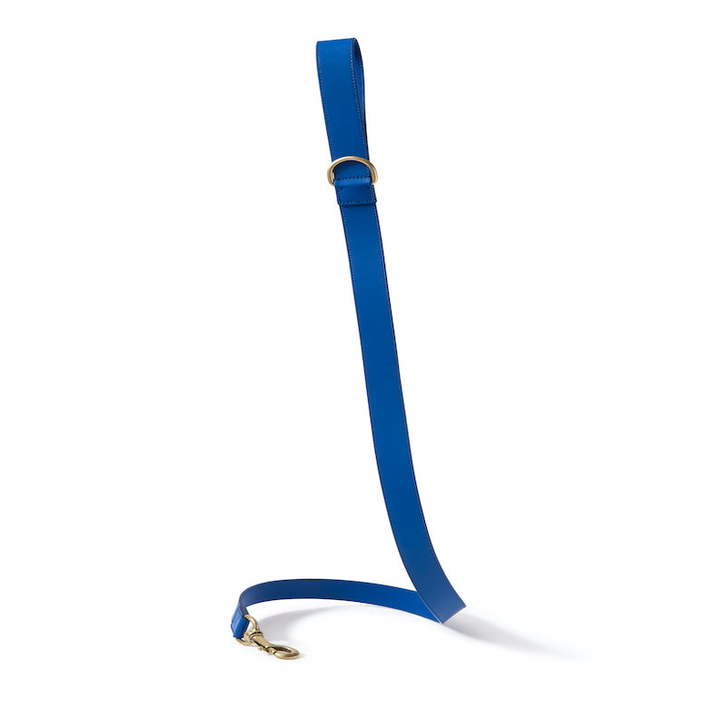 Leather leash Poldo azul