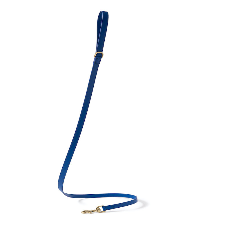 Leather leash Poldo azul