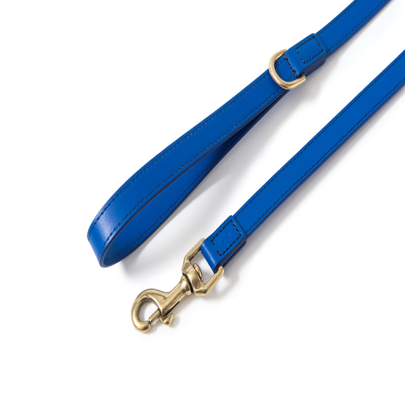Leather leash Poldo azul