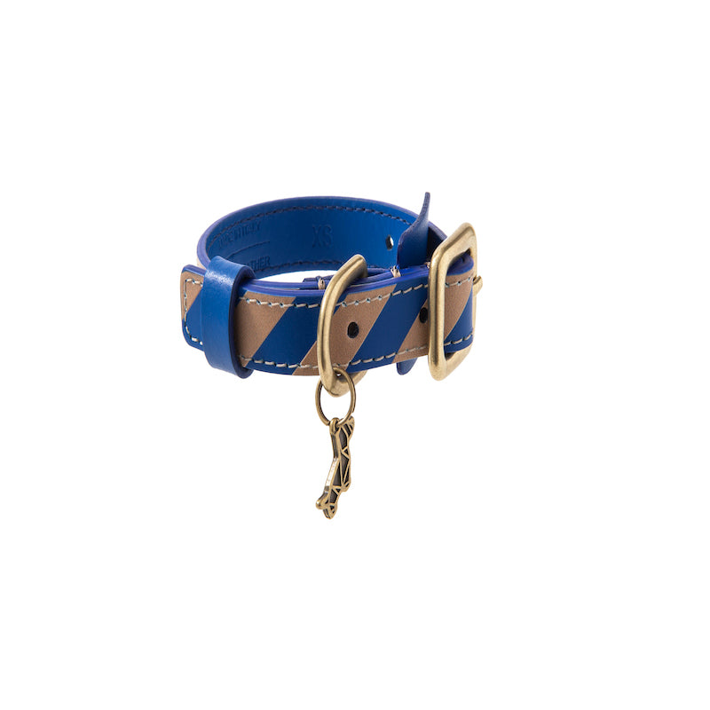 Striped collar Poldo azul