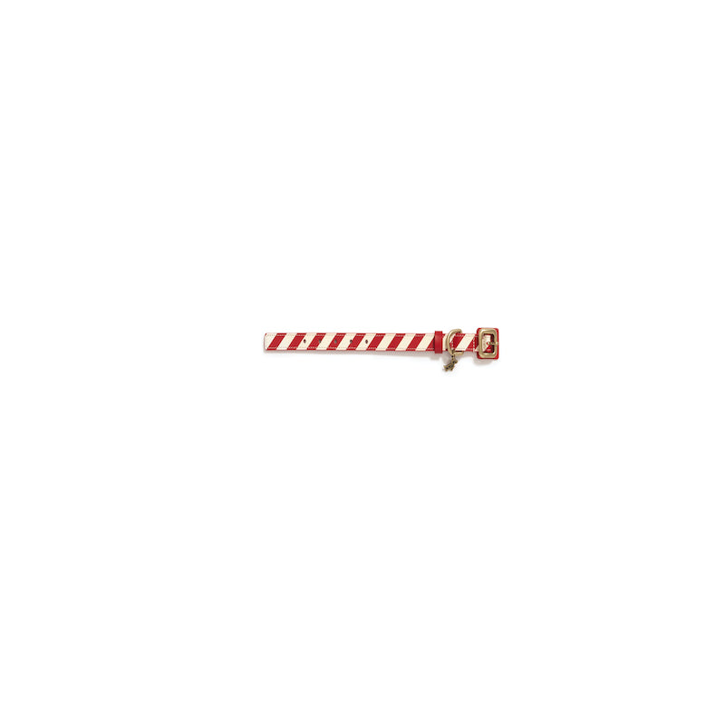 Striped collar  Poldo rojo