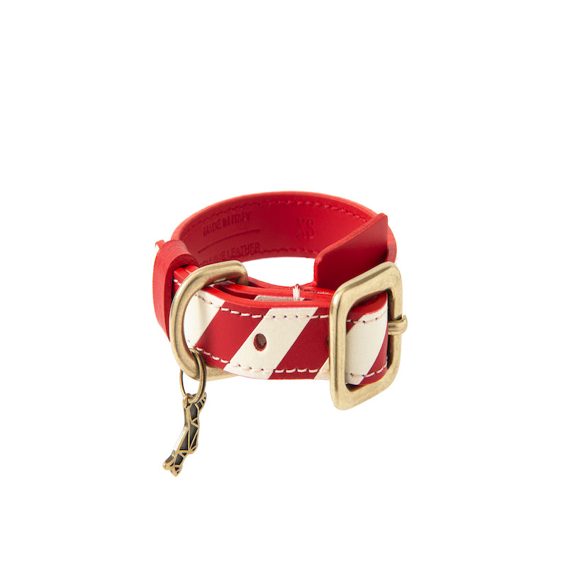 Striped collar  Poldo rojo