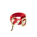 Striped collar  Poldo rojo