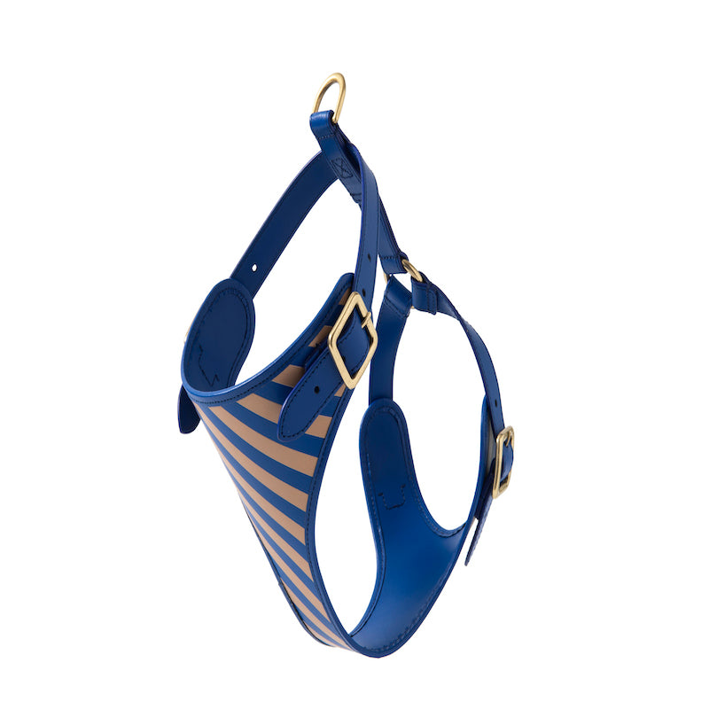 Striped harness Poldo azul