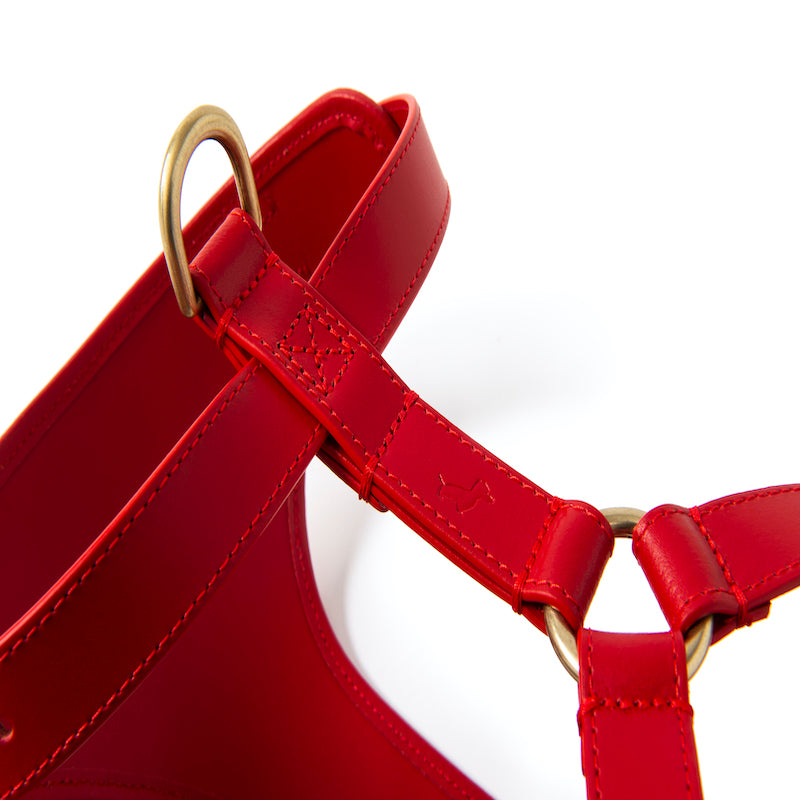 Striped harness Poldo rojo