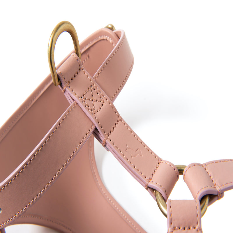 Striped harness Poldo rosa