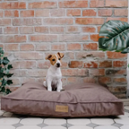 Classic Cream Cushion Bowl and Bone