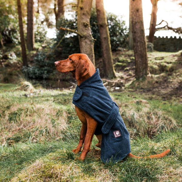 Albornoz para perros Azul Danish