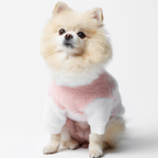 Aristopet pink puppy sweater