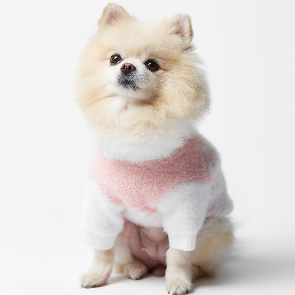 Aristopet pink puppy sweater