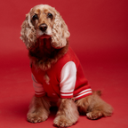 Mookie jacket rojo Aristopet