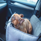 Elite Oh Charlie Car Bed