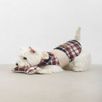 Dog coat Leaf Tartan B&amp;B x Aristopet