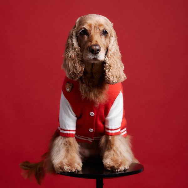 Mookie jacket rojo Aristopet
