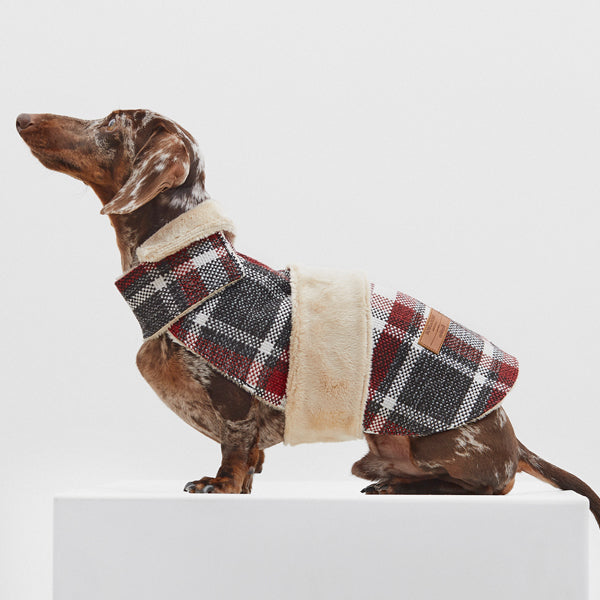 Dog coat Leaf Tartan B&amp;B x Aristopet