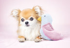 Toy Bird