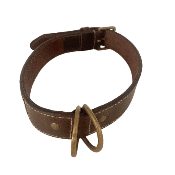 Collar Travel Bobby