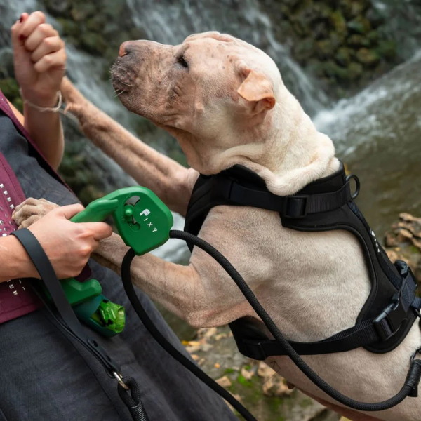 Correa para perro Verde-FIXY