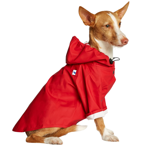 Impermeable Sarah Rojo