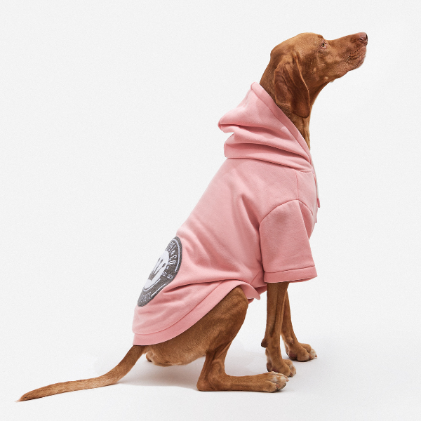 Augustus pink hoodie Aristopet