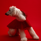 Capa Impermeable William THE PAINTER WIFE X ARISTOPET