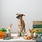 Fisherman's Stew Can with Salmon and Pork for dogs 400g