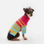 Jersey Bernard Aristopet