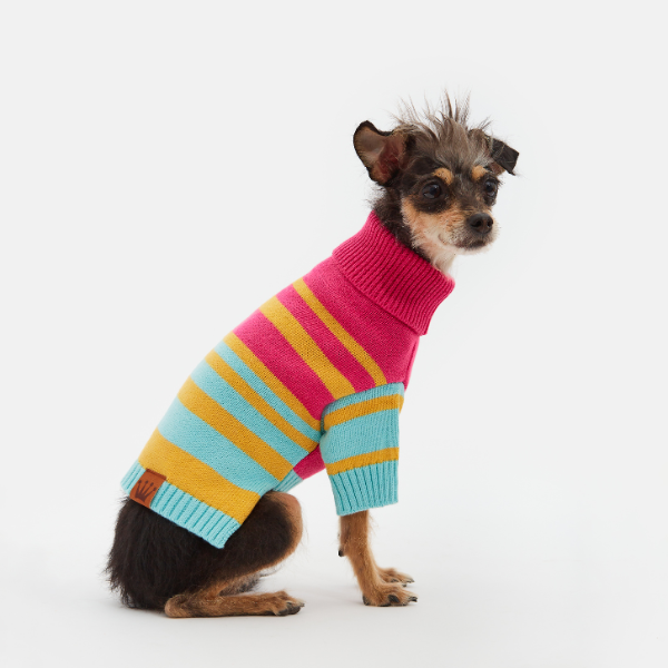 Jersey Bernard Aristopet