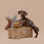 Cesta de juguetes para mascotas Aristopet