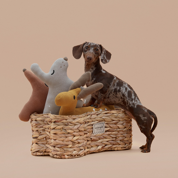 Cesta de juguetes para mascotas Aristopet