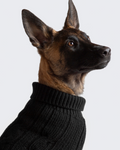 Jersey Aspen Negro